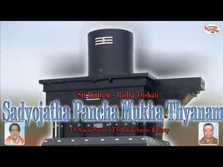 Sri Rudram - Rudra Trishati||Sadyojatha Pancha Mukha Thyanam