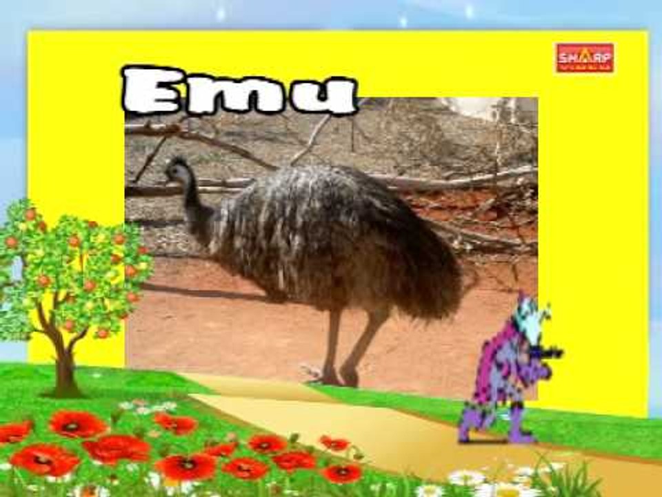 Birds Kutti Chutties