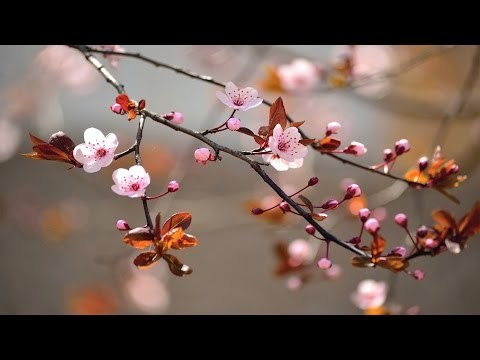 Kester Hit Malayalam Christian Devotional Song