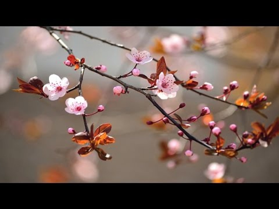 Kester Hit Malayalam Christian Devotional Song