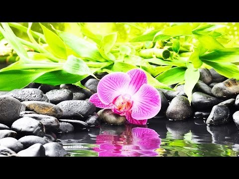 Kester Hit Malayalam Christian Devotional Song