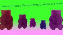 Jelly Gummy Bear Finger Family Cartoon Animation Nursery Rhymes Gummy Bear Finger family S