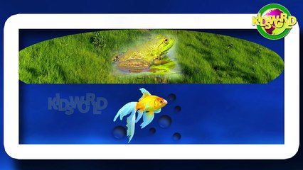 A For Apple Nursery Rhymes And More Nursery Rhymes For Babies | Phonic Songs And More Song