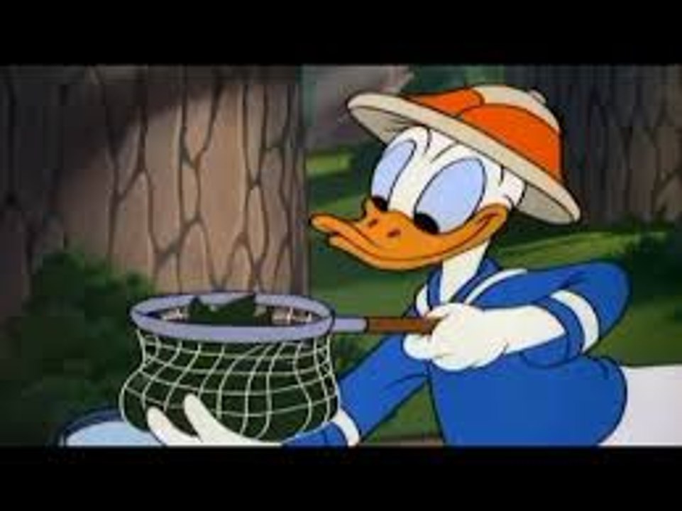 Donald Duck Chip And Dale full HD 2016 Ep 2