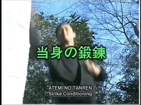 Técnicas de Ninjutsu de Masaaki Hatsumi