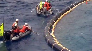Greenpeace action on tuna cages