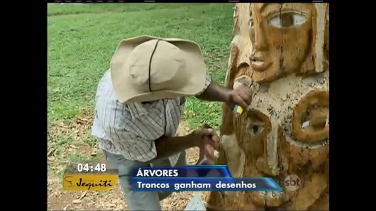 Morador do DF transforma troncos em obras de arte