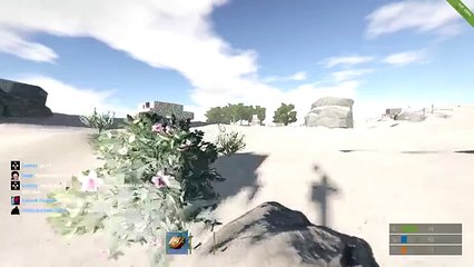 RUST- SAY HELLO TO MY LITTLE FRIEND!