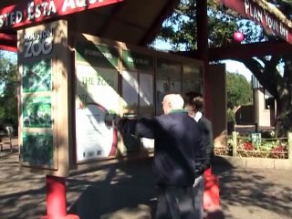 Willie the Chimpanzee Reacts to His Own Reflection!  School Is Out! The Zoo Is In!