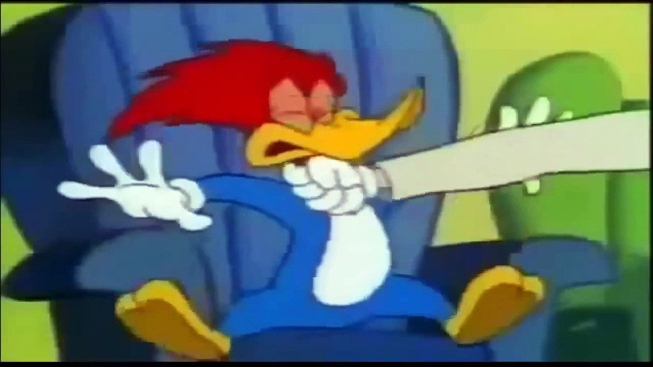 ANIMATION vidéo