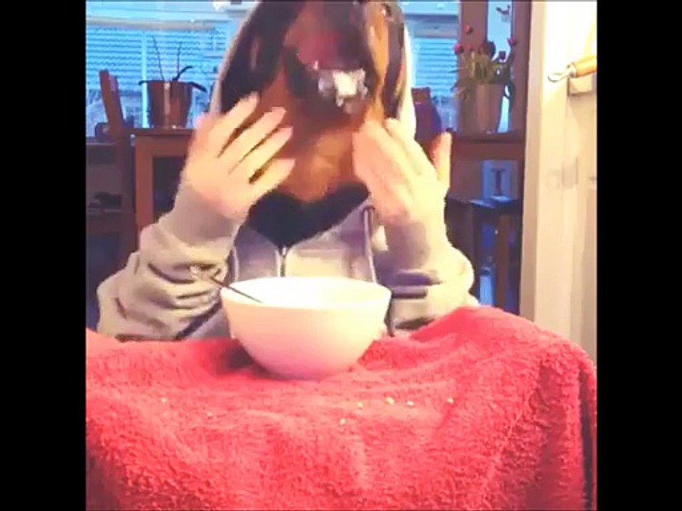 Funny Dog Videos - Dog Eating With Spoon Like Human