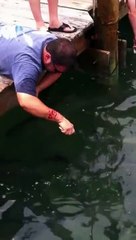 Dev Balık Adamın Kolunu Böyle Kaptı!