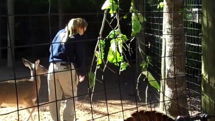 Lettuce that Grows on Trees؟ Oh Deer