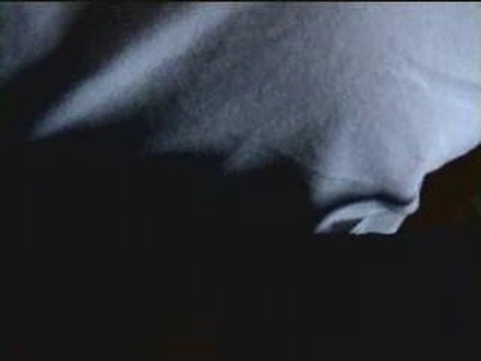 PB20 - Film de cul