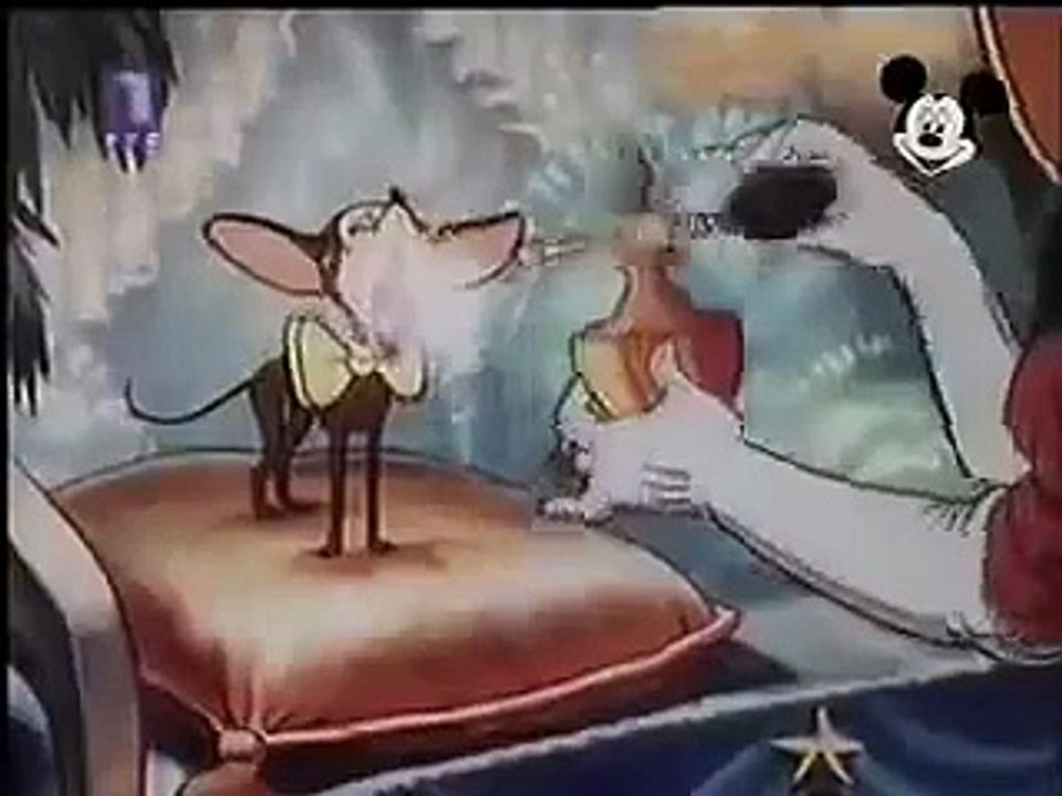 Mickey Mouse Cartoon - Miki Maus Español - Izložba pasa 1939