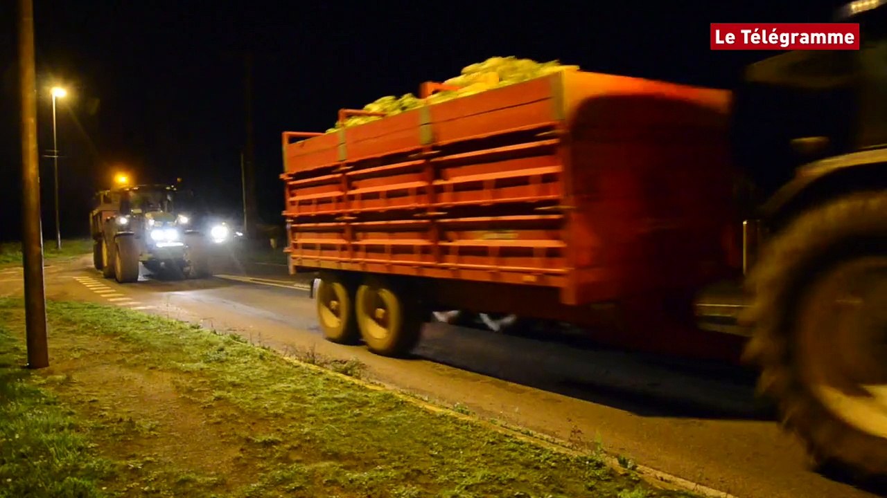 Légumiers. Des milliers de choux-fleurs déversés dans le Trégor
