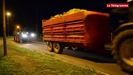 Légumiers. Des milliers de choux-fleurs déversés dans le Trégor