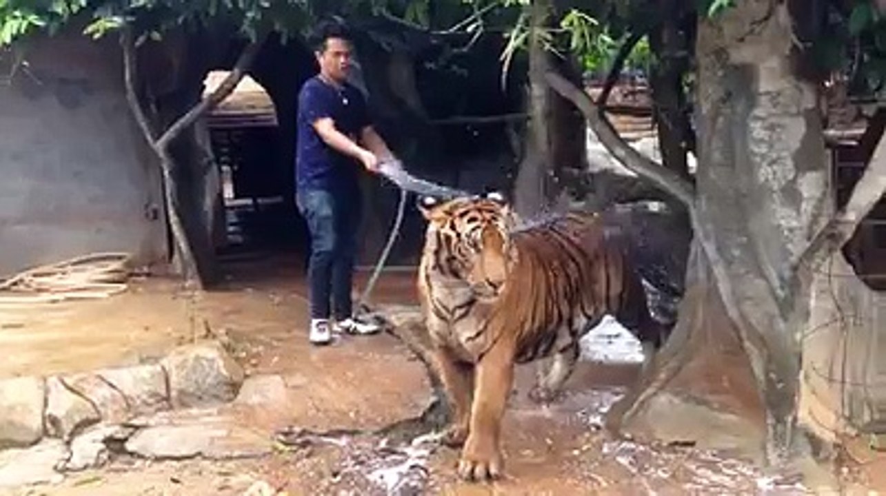 চোখে না দেখলে বিশ্বাস হয় না