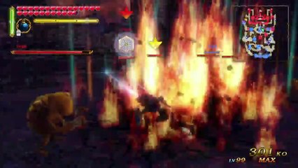 Hyrule Warriors (Hero Mode, Co-op) - Part 16 : TooAnimeForMe's final stand