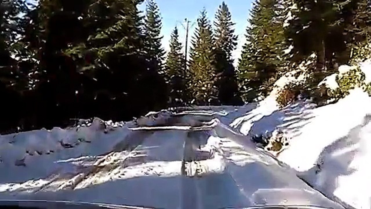 Usta Şoför  Dediğin Bu Olsa Gerek