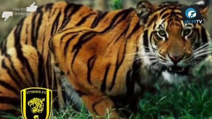 انا أفتخر عشقي إتحادي غناء حسن الزاهر.mp4