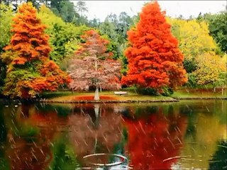 Александр Баль - Она