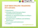 SAP SRM ONLINE TRAINING IN INDIA|GERMANY