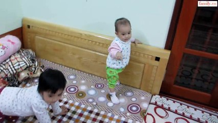 Vlog 198 Em Ngựa ( family.vn )