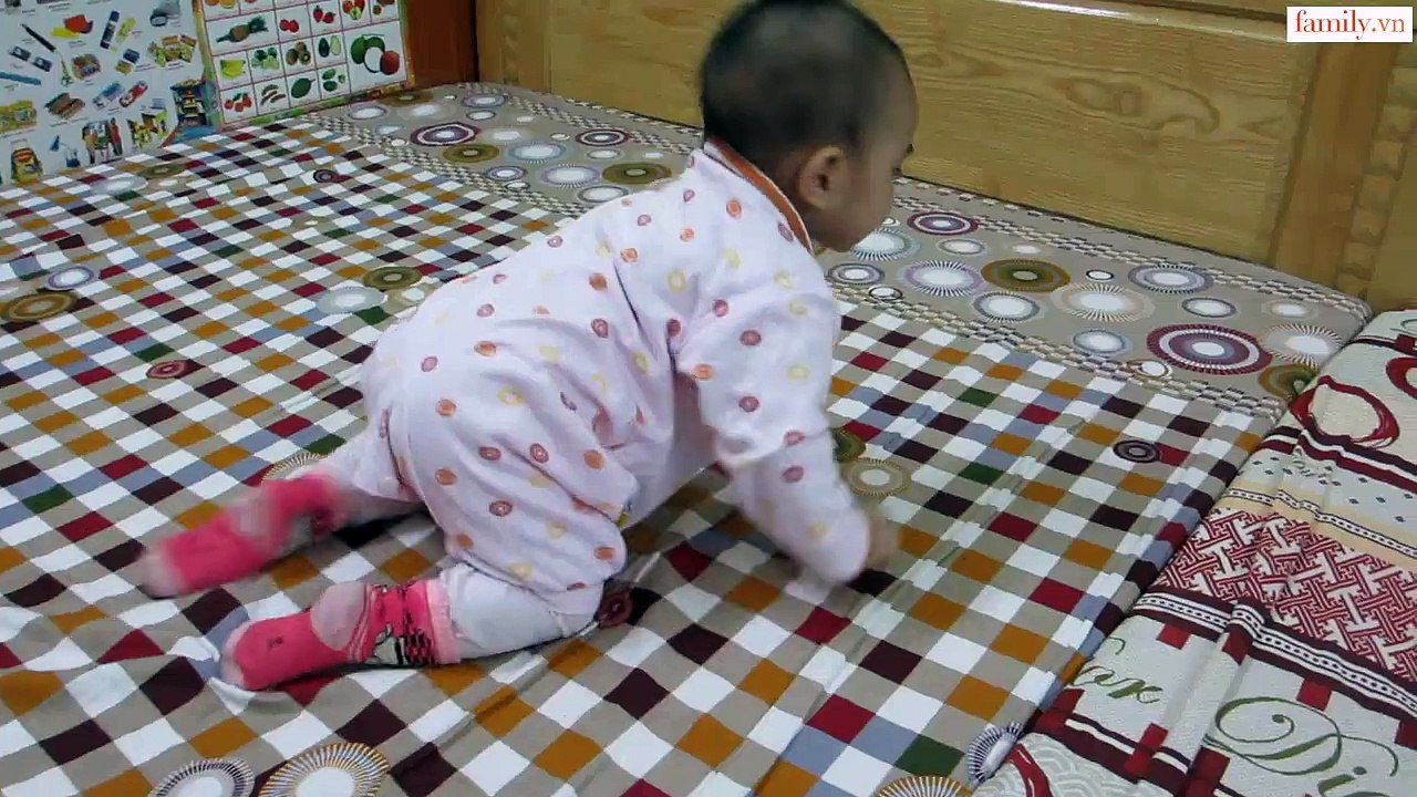 Vlog 199 Chị Cún Và Em Ngựa ( family.vn )