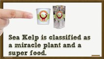 10 Benefits of Kelp - One Of The Best Thyroid Foods For Healing - Sea Kelp