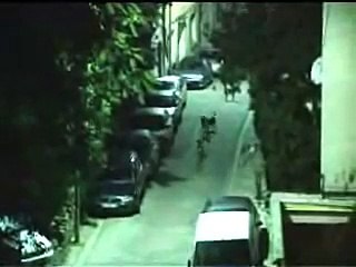 Ezan okunurken sokak köpeklerinin gösterdigi Tavır !