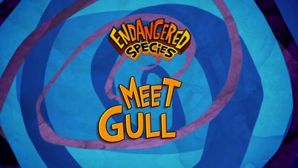 Endangered Species - Meet Gull