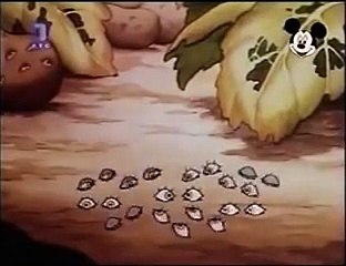 Mickey Mouse Cartoon - Miki Maus Español - Mikijeva bašta 1935