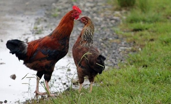 SBOヂ Supercar123.Com 가입코드7171