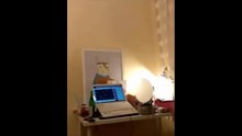 Ultimate Fails Compilation 2015! - BestMoments