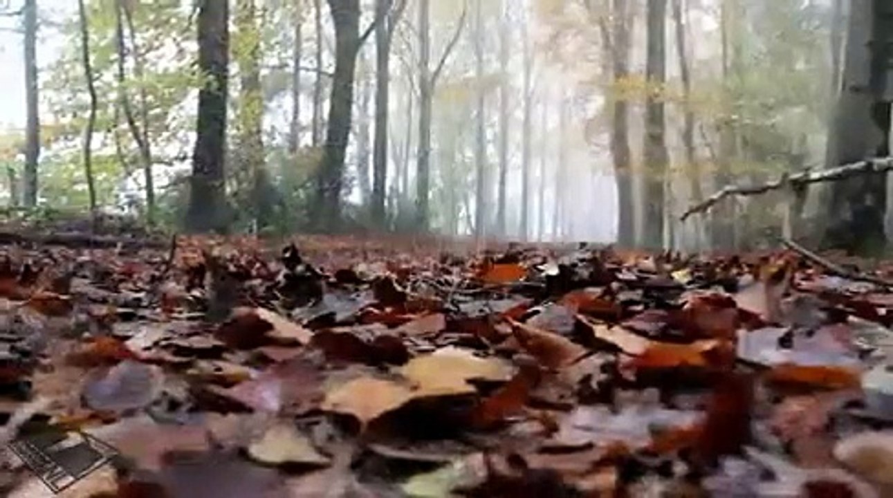 DEV TARIM MAKİNALARI..