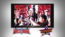 WWE Network gift cards are the perfect holiday stocking stuffer available at Walmart