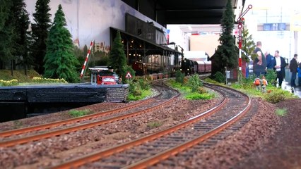 LARGE MODEL RAILWAY GIGANTIC SCALE MODEL TRAINS HOLZPLATZ BAHN / Faszination Modellbau 201