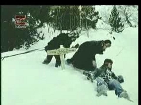 Los delinquentes la primavera trompetera