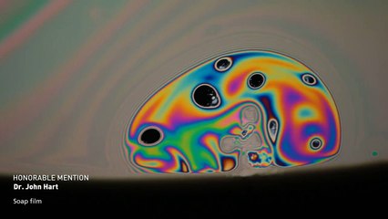 Incredible Video Taken  Through a Microscope