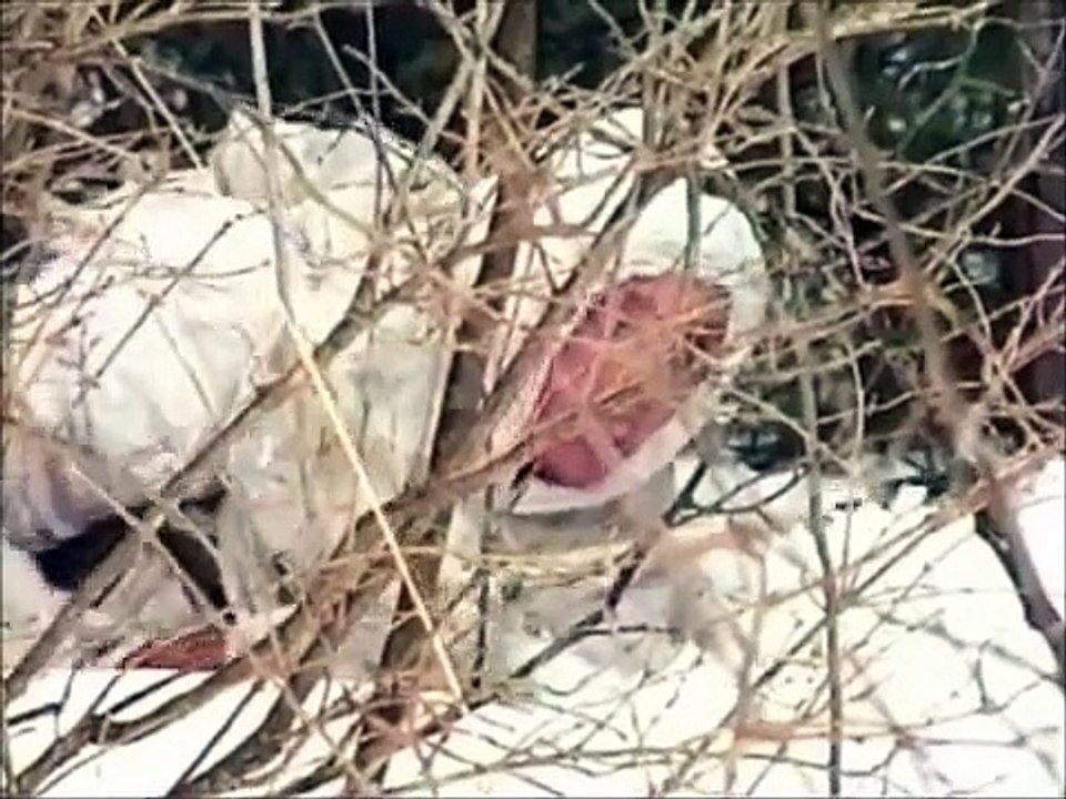Искусство снайпера 12. Маскировка оружия зимой