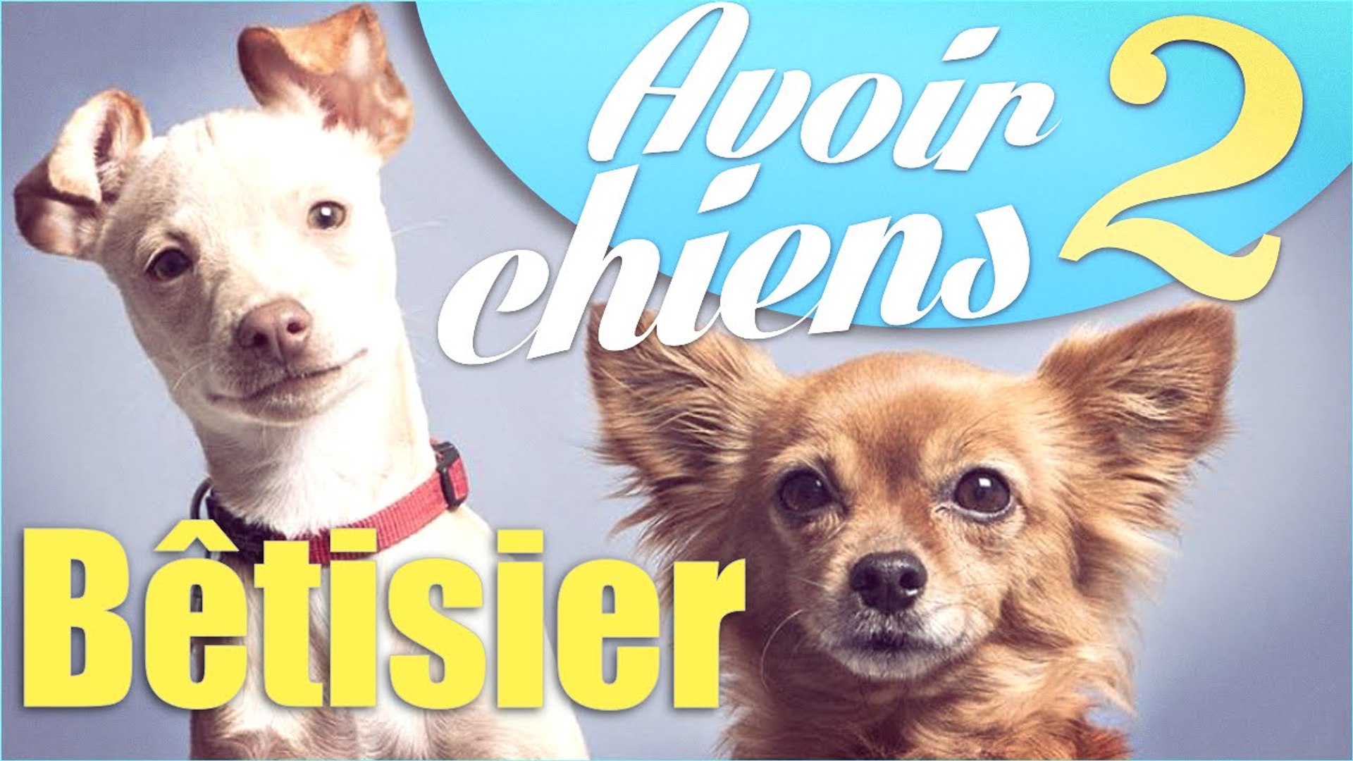 Natoo Bêtisier Avoir 2 Chiens