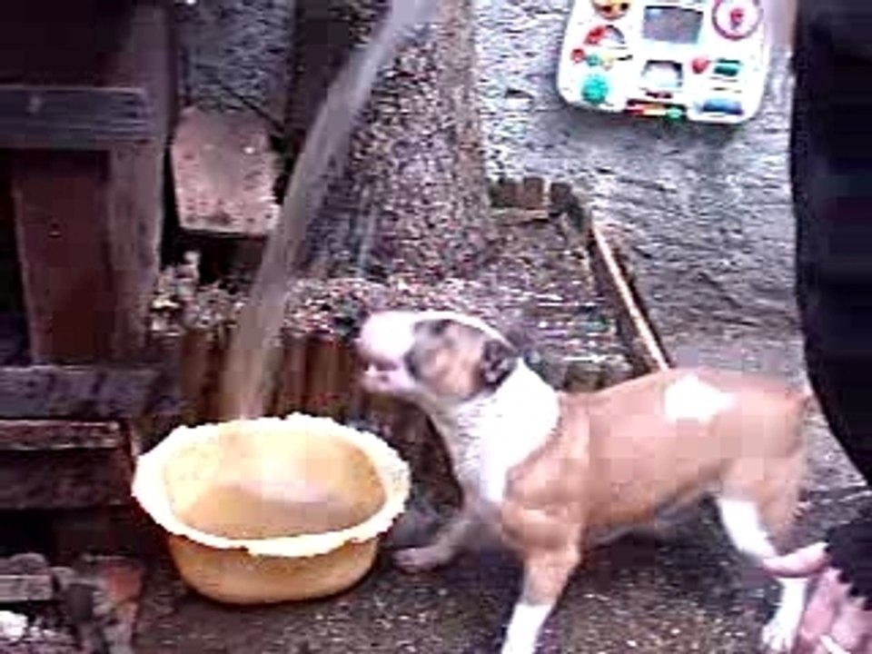 BUFFY ET LE SEAU D'EAU 2