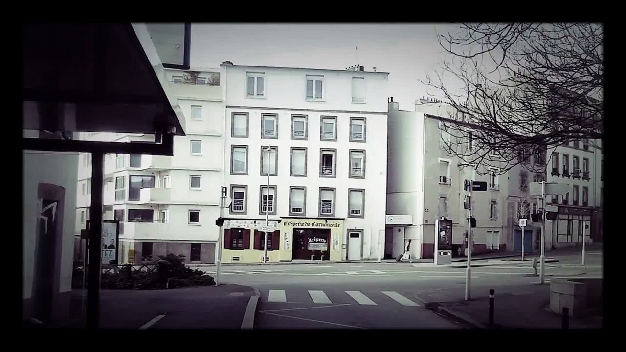 Brest. port de commerce de Brest