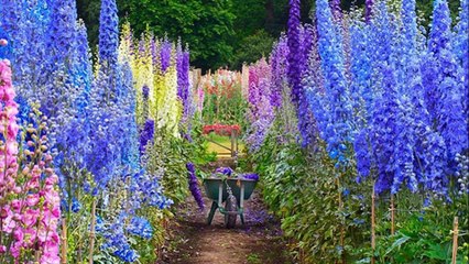 Mi favorita desde que la oí por primera vez, hace más de 30 años. Cuando la oigo me invade la paz, la ternura... Luego se vuelve apasionada,