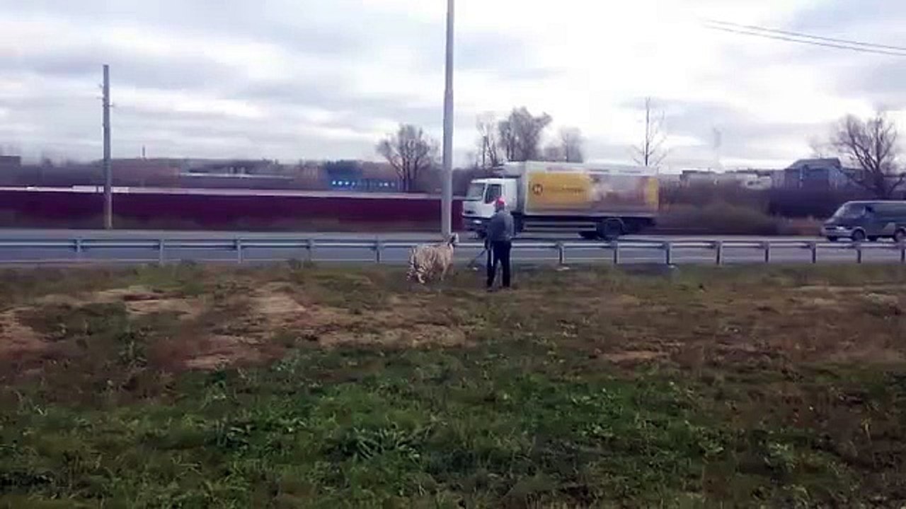 Meanwhile in Russia