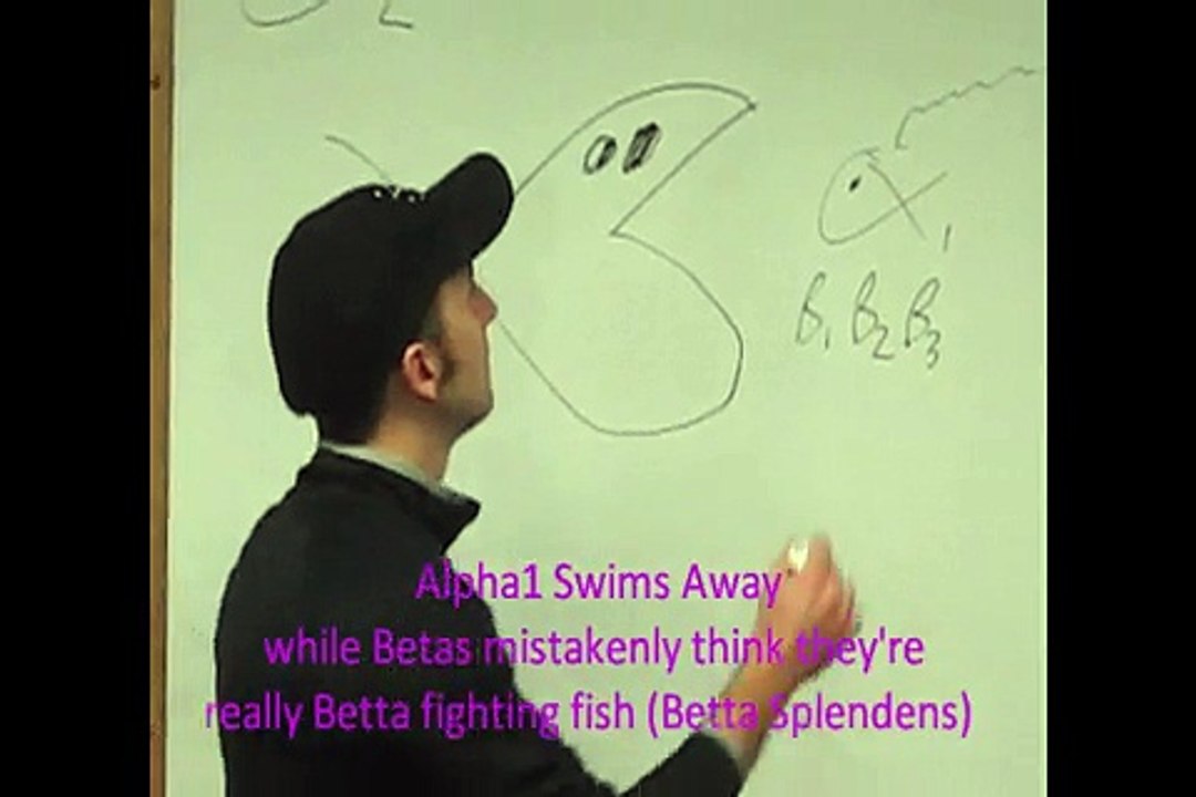 Alpha2_Autonomic_Receptor_Mnemonic_Video