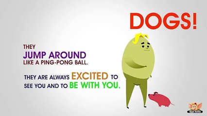 Why should you have a Pet Dog