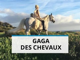 Un très (très) gros cadeau de Noël pour Lady Gaga