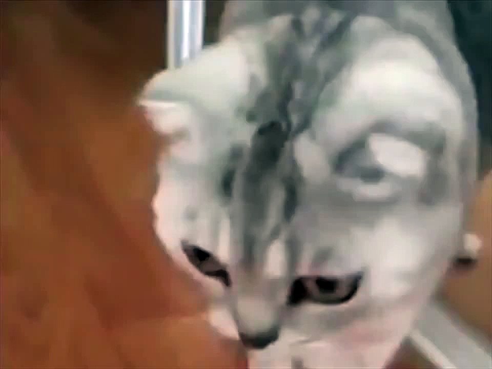Кот увидел себя в зеркале.И офигел))